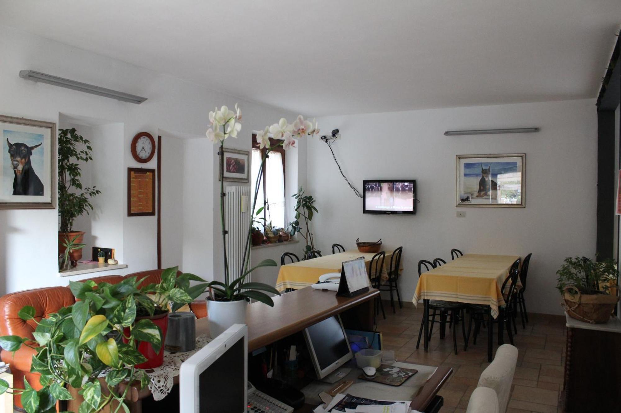 Villa Rosy Torre del Lago Puccini Buitenkant foto